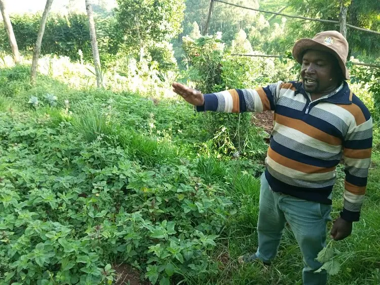 Read more about the article Healthy Living.